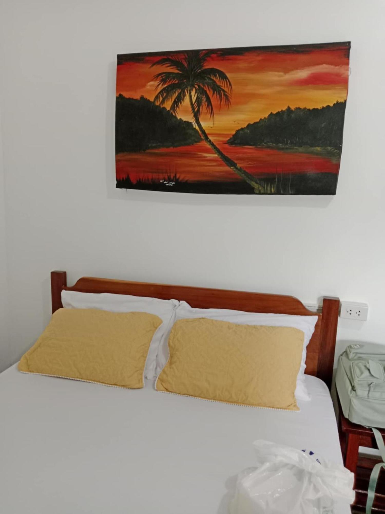 Jeno Tourist Inn San Vicente  Esterno foto